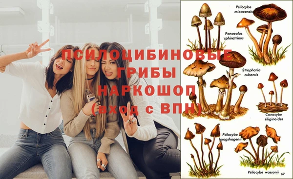 гидропоника Киренск