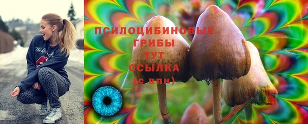 гидропоника Киренск